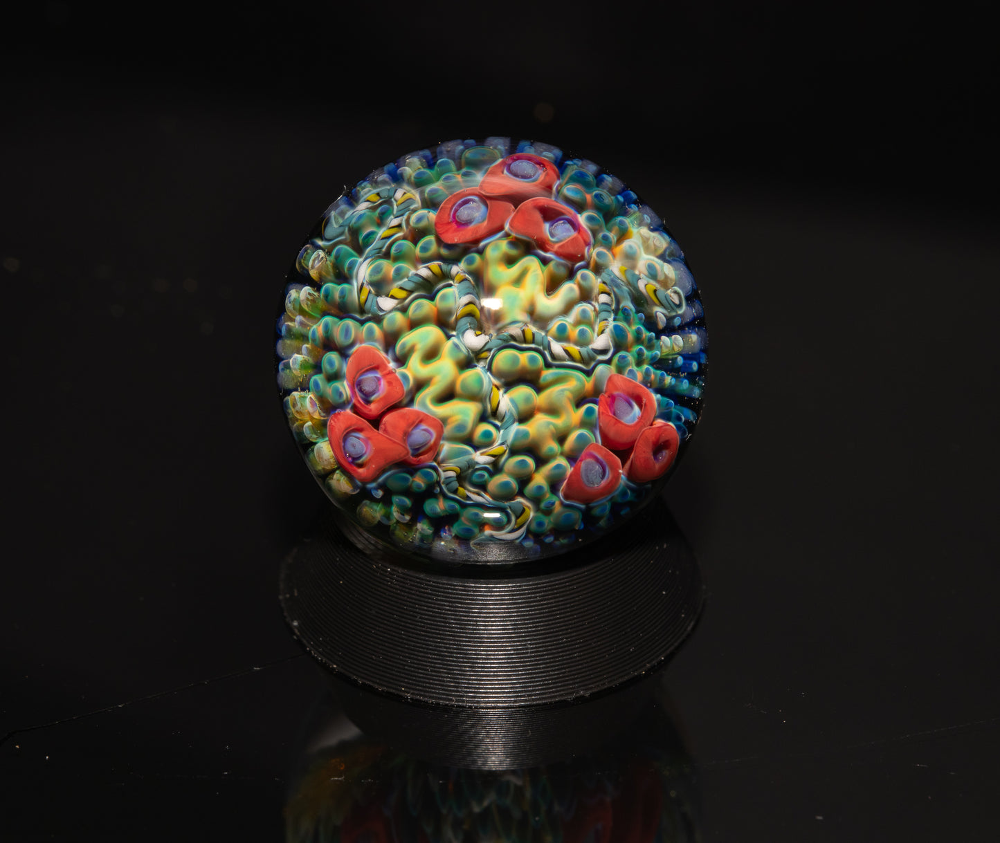 Coral Reef Glass Marble Set | 25mm Glass Marbles | Handblown Borosilicate Glass | Collectible Functional Glass