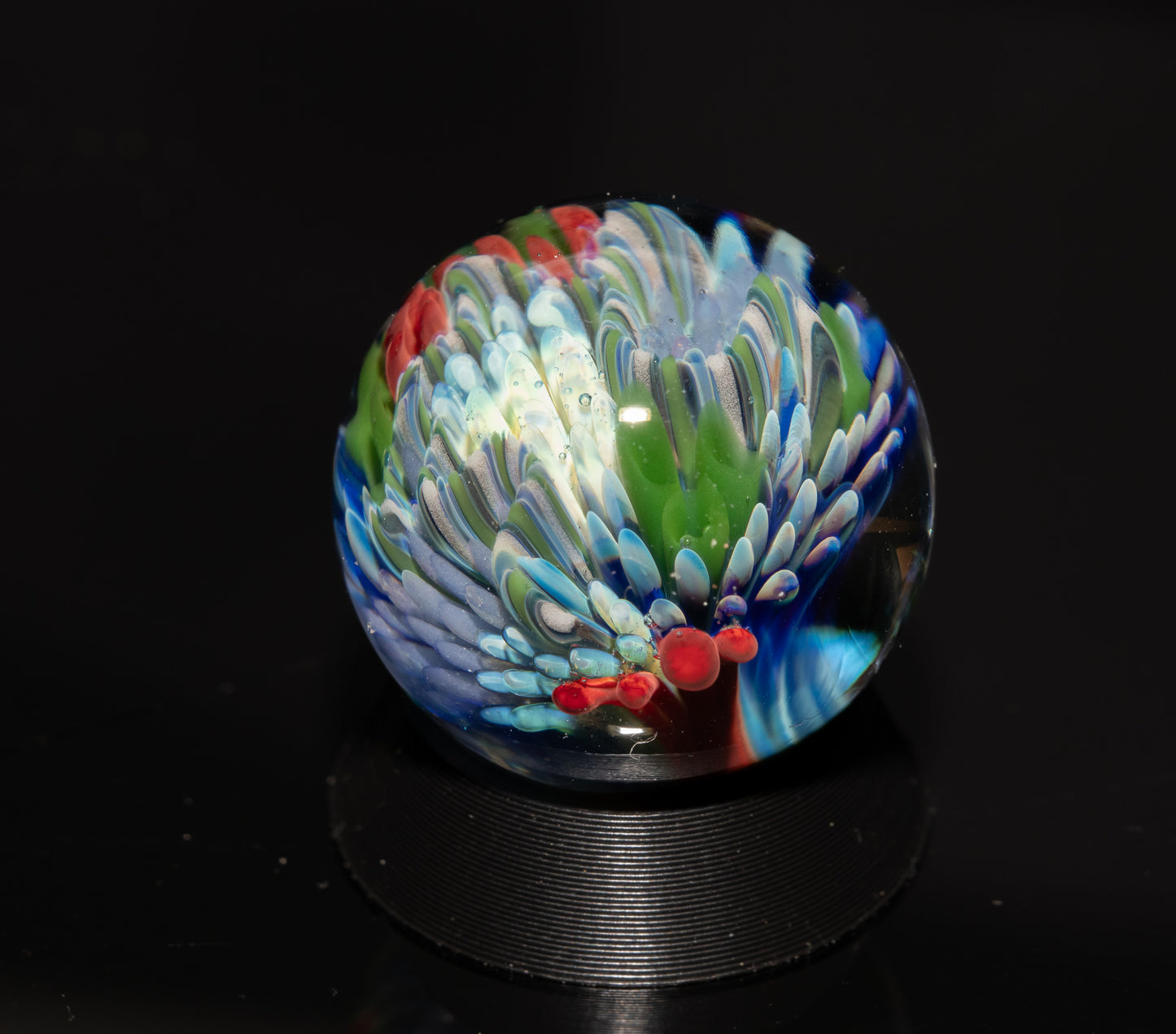 Coral Reef Glass Marble Set | 25mm Glass Marbles | Handblown Borosilicate Glass | Collectible Functional Glass