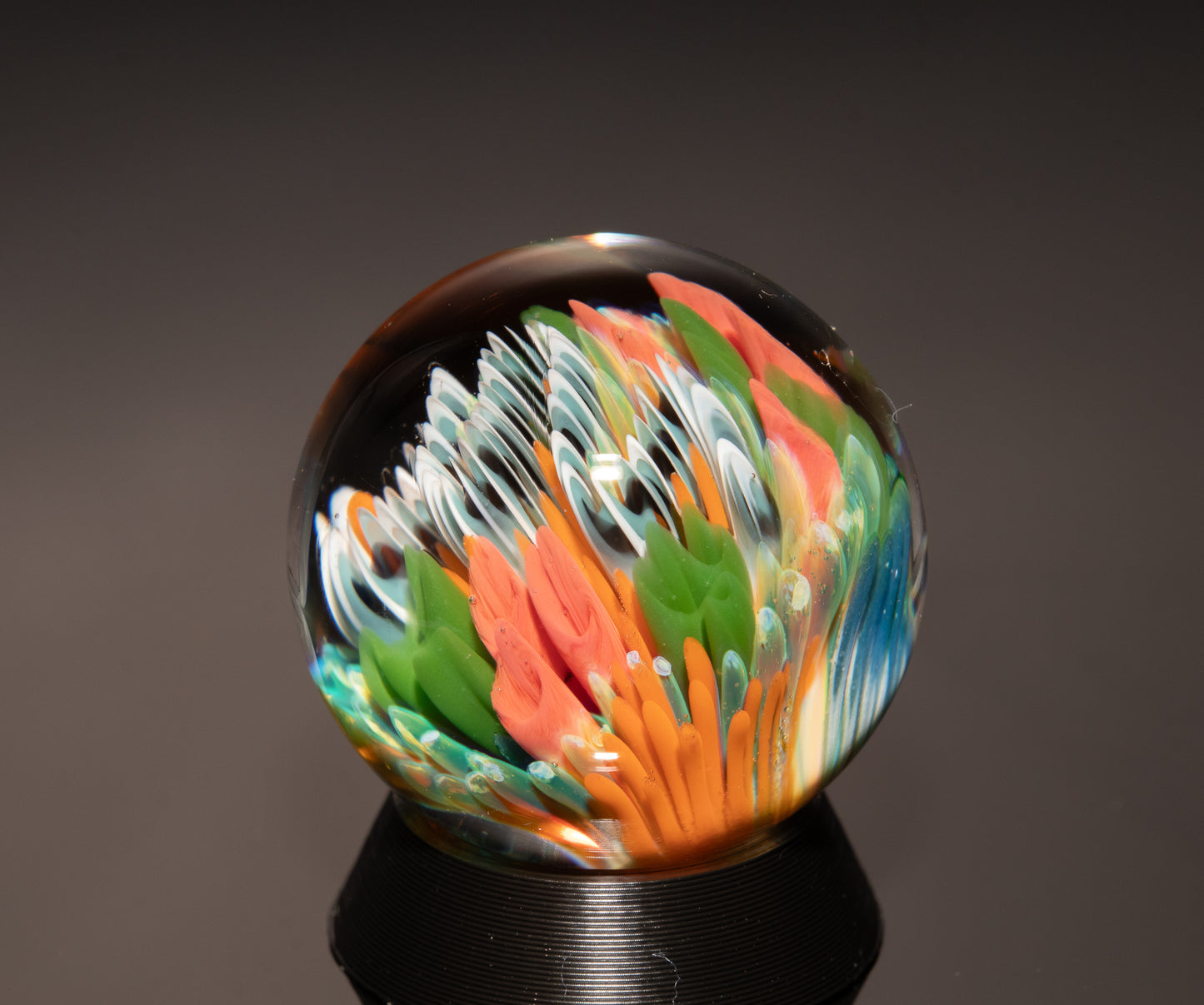 Ocean Floor Glass Marble Set | Four Piece Borosilicate Collection | Handblown Reef Art