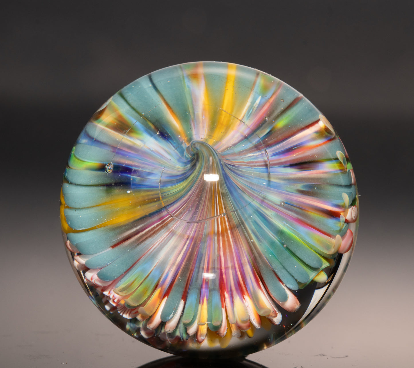Marine Life Glass Marble | Coral Reef Borosilicate Art Sphere | Handmade Ocean Collectible | Scuba Diving Gift