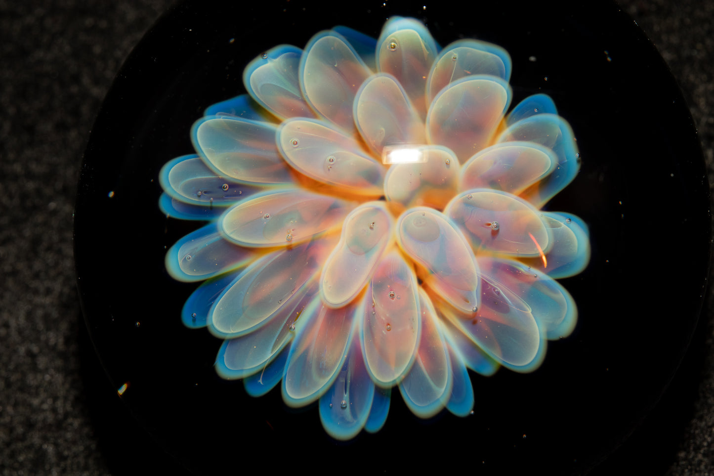 Cosmic Dot Implosion Pendant | Galaxy Floral Glass Necklace | Sea Anemone Inspired Jewelry | Handcrafted Art Glass