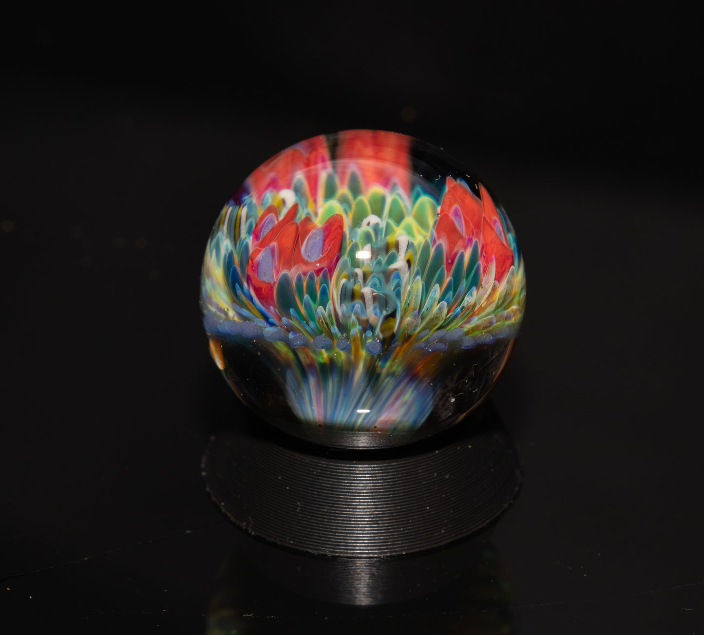 Coral Reef Glass Marble Set | 25mm Glass Marbles | Handblown Borosilicate Glass | Collectible Functional Glass