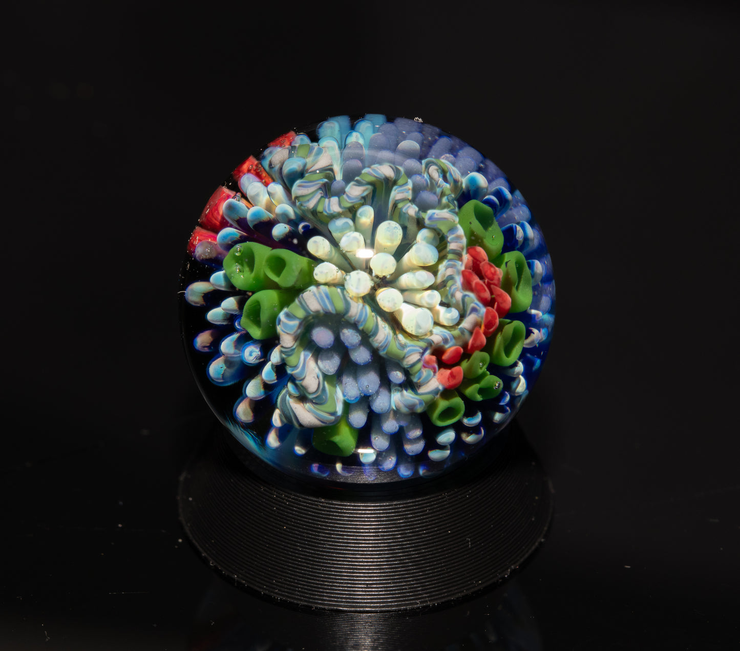 Coral Reef Glass Marble Set | 25mm Glass Marbles | Handblown Borosilicate Glass | Collectible Functional Glass