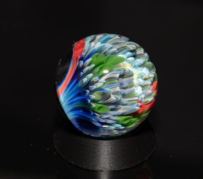 Coral Reef Glass Marble Set | 25mm Glass Marbles | Handblown Borosilicate Glass | Collectible Functional Glass