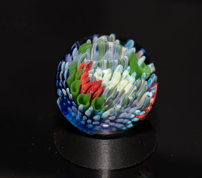 Coral Reef Glass Marble Set | 25mm Glass Marbles | Handblown Borosilicate Glass | Collectible Functional Glass