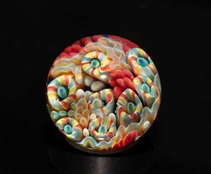 Coral Reef Glass Marble Set | 25mm Glass Marbles | Handblown Borosilicate Glass | Collectible Functional Glass