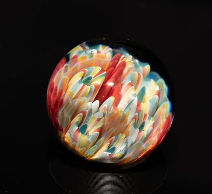 Coral Reef Glass Marble Set | 25mm Glass Marbles | Handblown Borosilicate Glass | Collectible Functional Glass