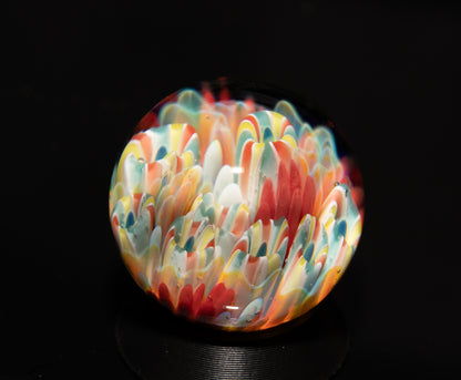 Coral Reef Glass Marble Set | 25mm Glass Marbles | Handblown Borosilicate Glass | Collectible Functional Glass