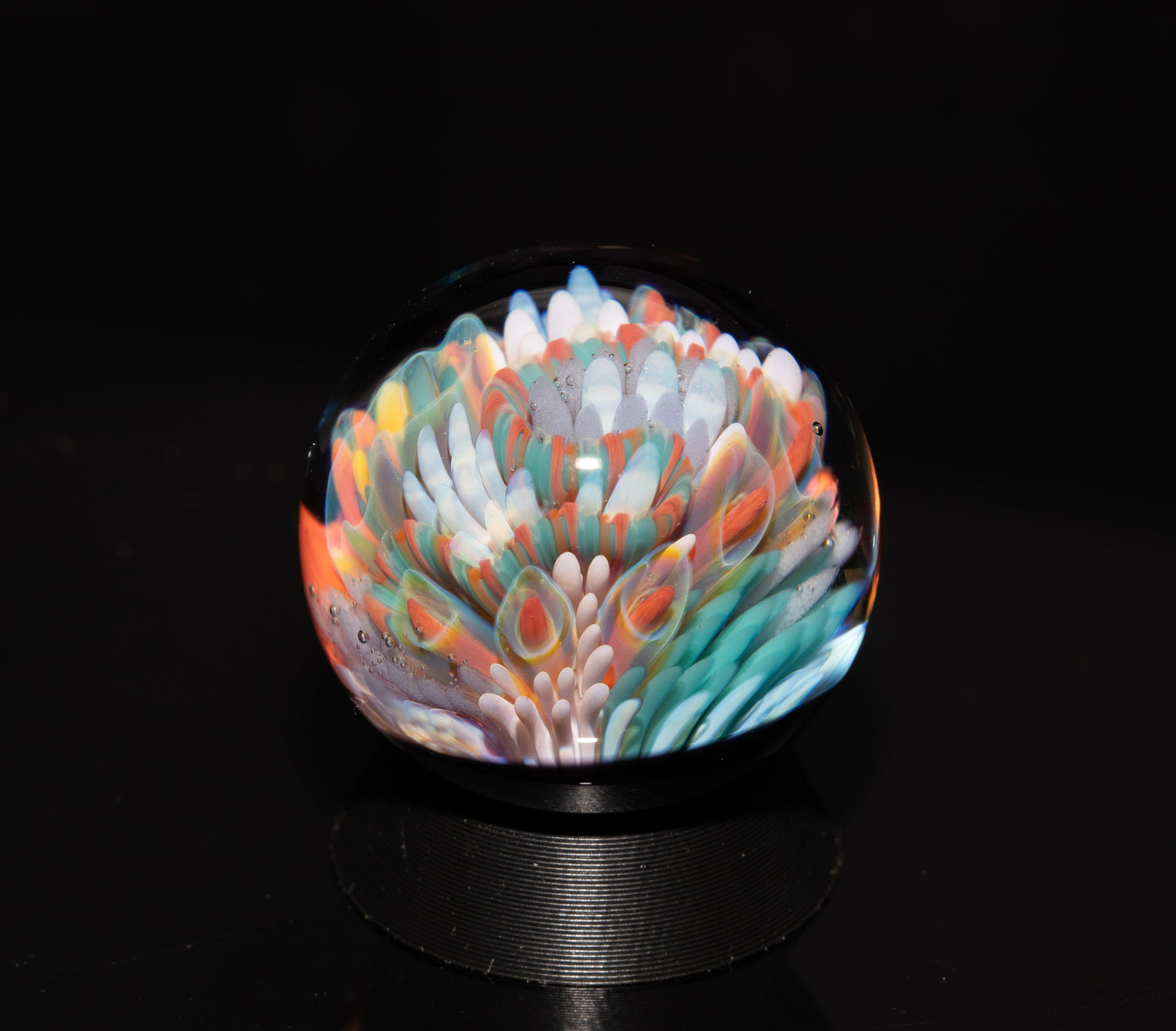 Coral Reef Glass Marble Set | 25mm Glass Marbles | Handblown Borosilicate Glass | Collectible Functional Glass