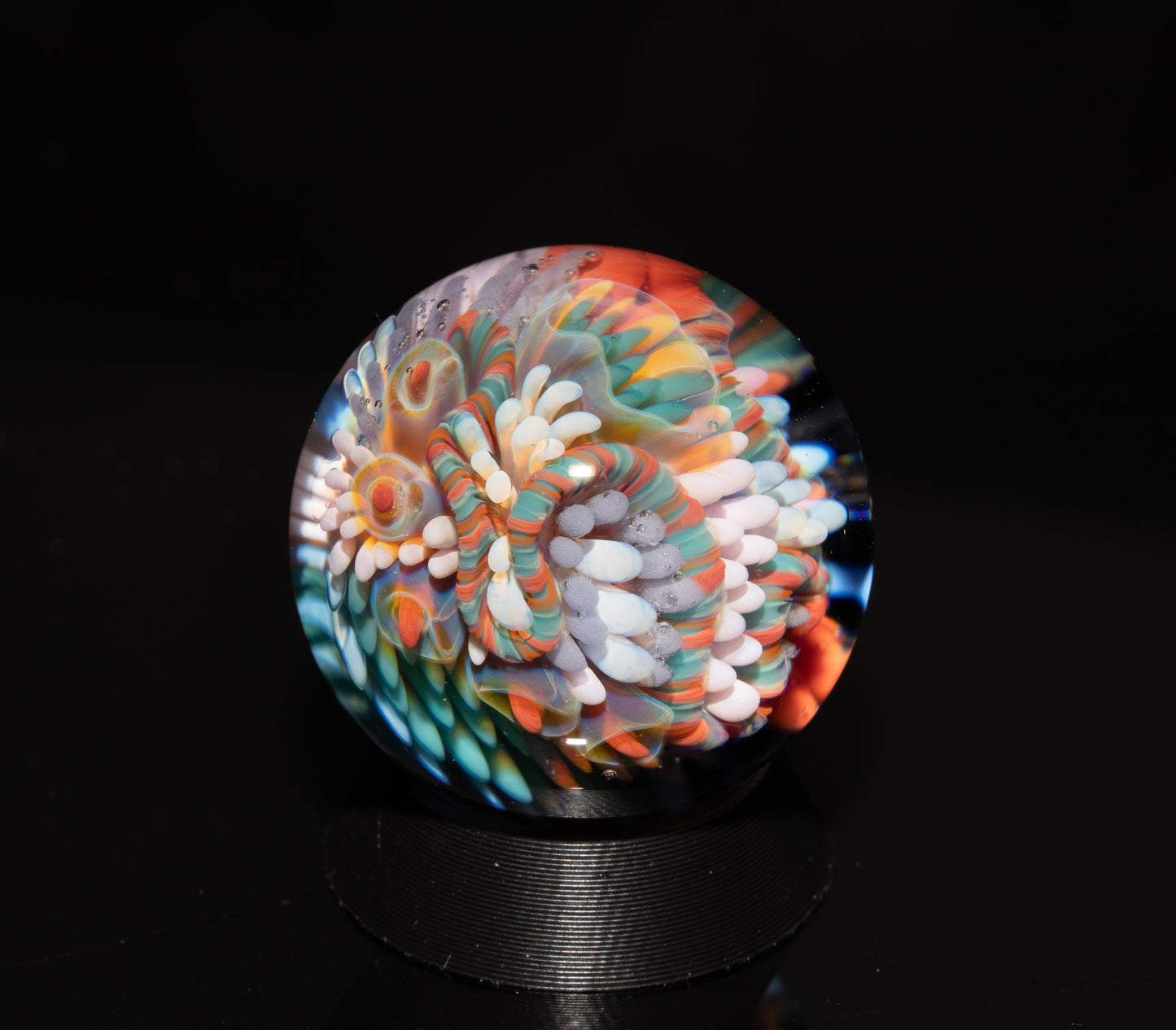 Coral Reef Glass Marble Set | 25mm Glass Marbles | Handblown Borosilicate Glass | Collectible Functional Glass