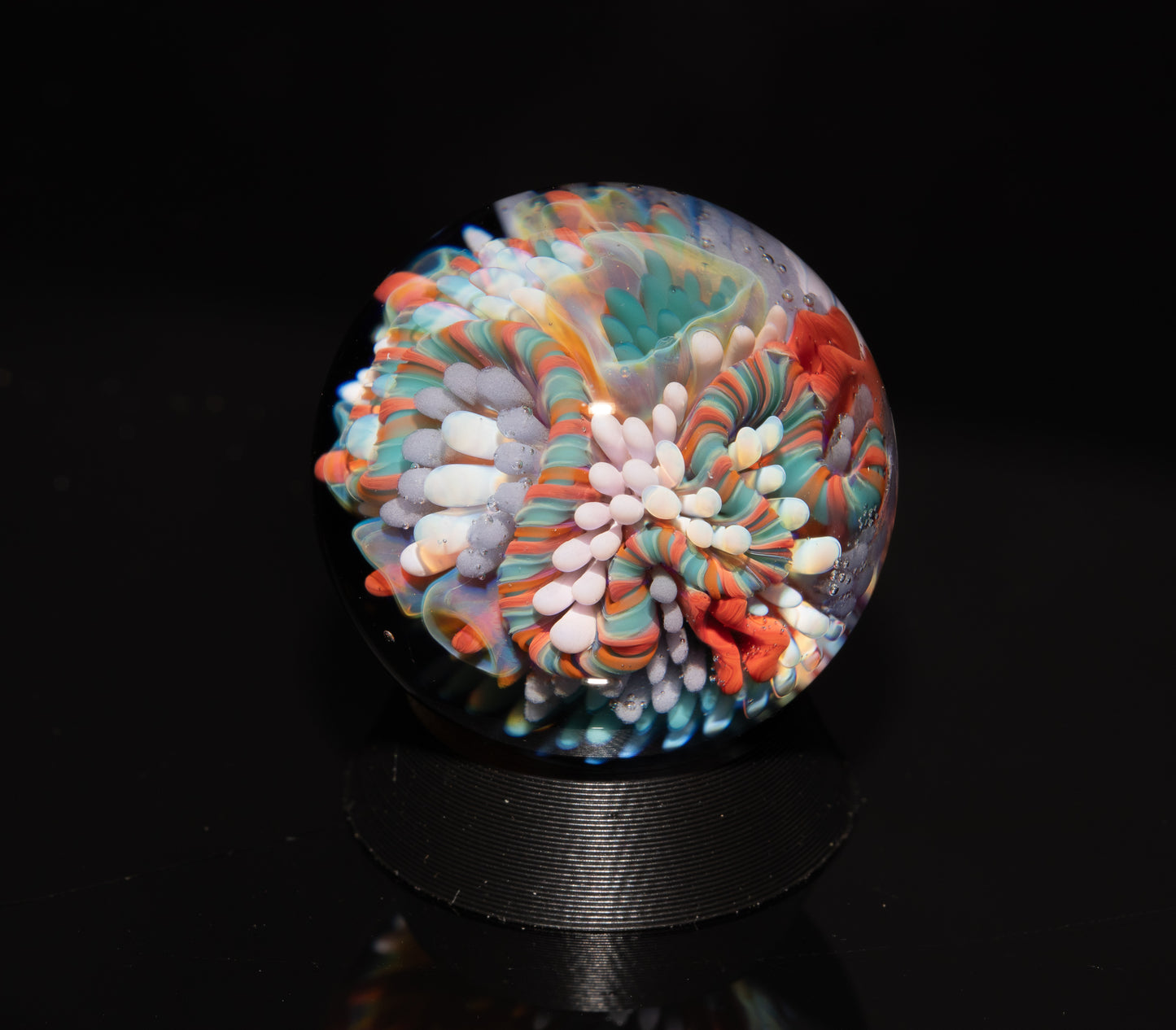 Coral Reef Glass Marble Set | 25mm Glass Marbles | Handblown Borosilicate Glass | Collectible Functional Glass
