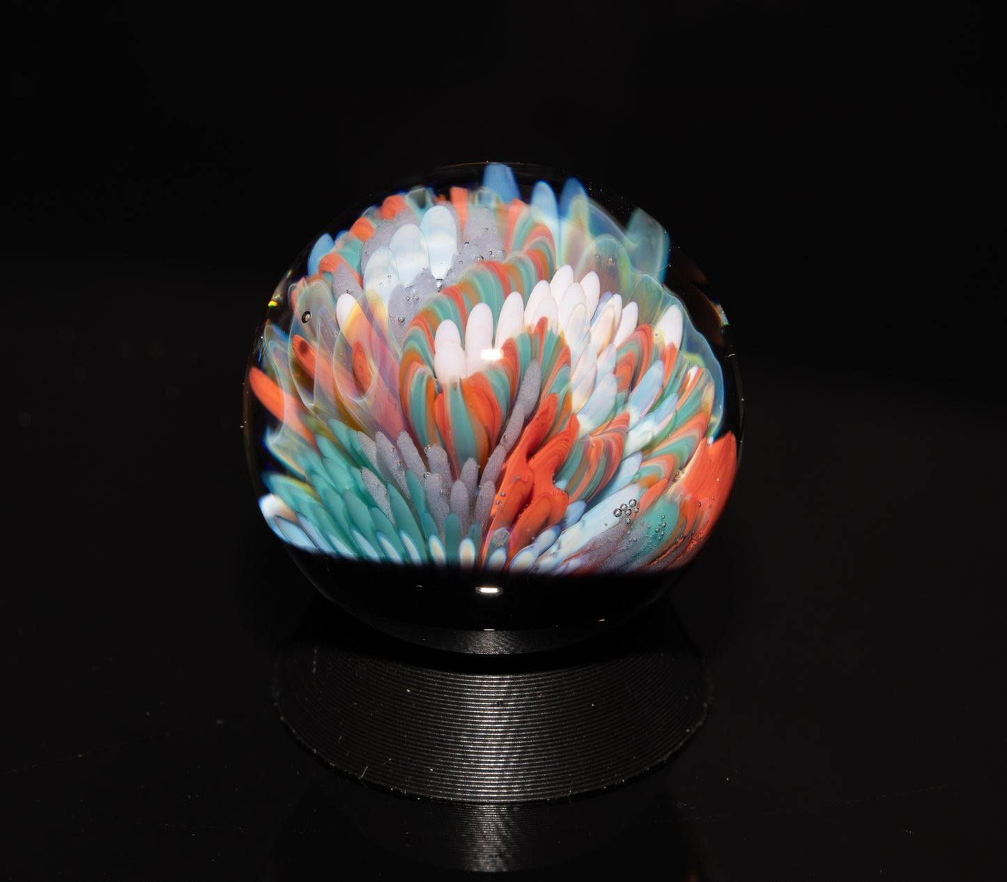 Coral Reef Glass Marble Set | 25mm Glass Marbles | Handblown Borosilicate Glass | Collectible Functional Glass