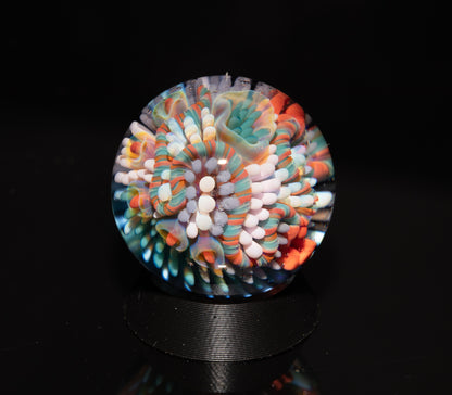 Coral Reef Glass Marble Set | 25mm Glass Marbles | Handblown Borosilicate Glass | Collectible Functional Glass