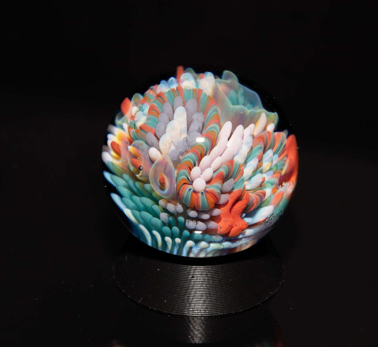 Coral Reef Glass Marble Set | 25mm Glass Marbles | Handblown Borosilicate Glass | Collectible Functional Glass