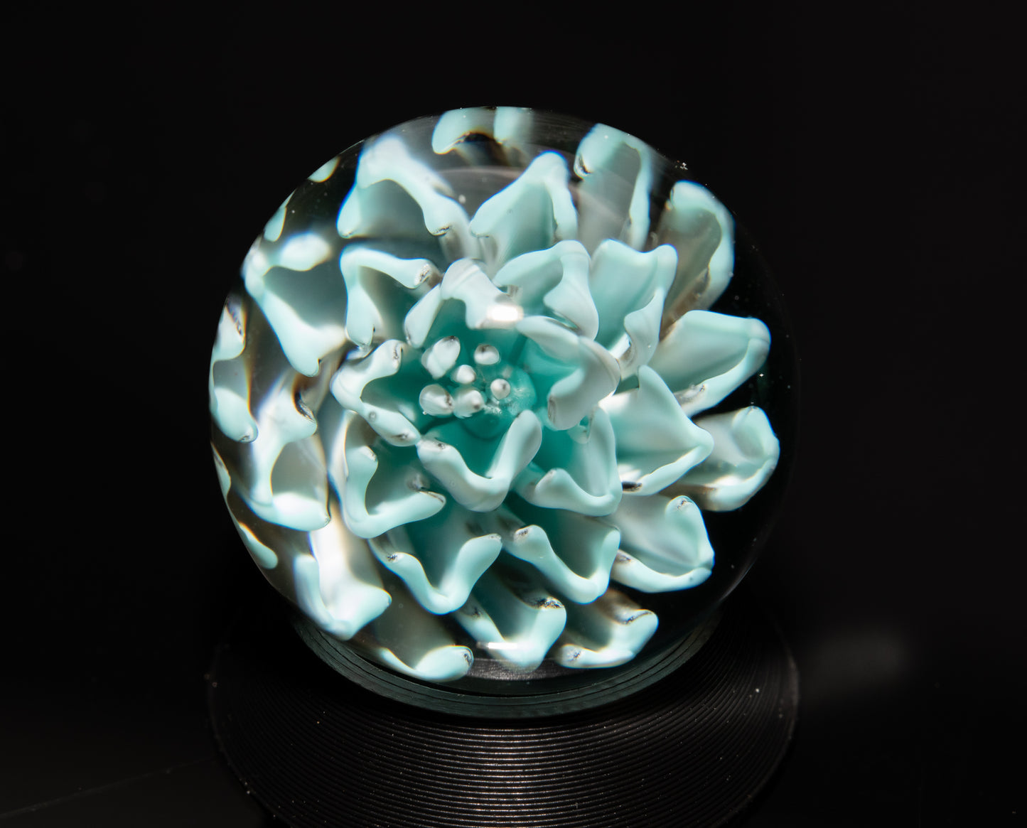 Dahlia Flower Marble Set | 25mm Handmade Glass Art Sphere with Matching Inserts | Collector Marble | Handblown Glass Decor