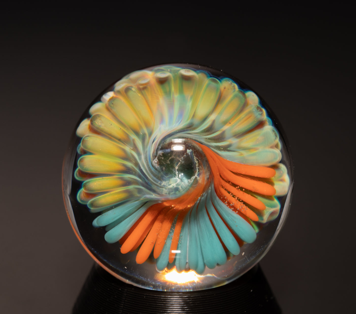 Coral Reef Glass Art Marble Set | Four Piece Ocean Inspired Borosilicate Work