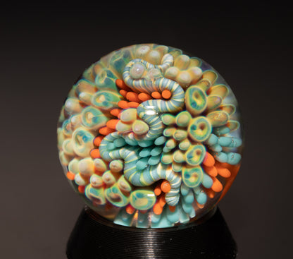 Coral Reef Glass Art Marble Set | Four Piece Ocean Inspired Borosilicate Work