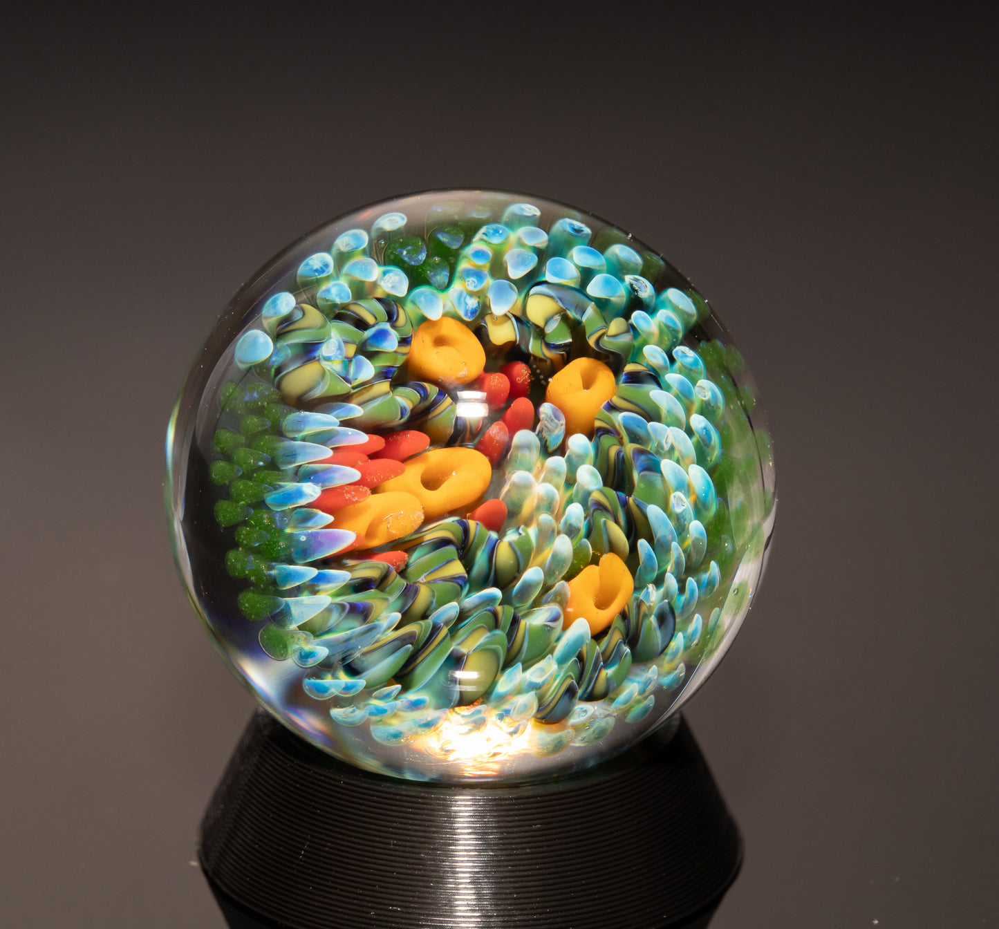 Coral Reef Display Marble Set | Four Piece Borosilicate Glass Art