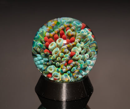 Handblown Ocean Glass Marble Set | Four Piece Coral Reef Borosilicate Art