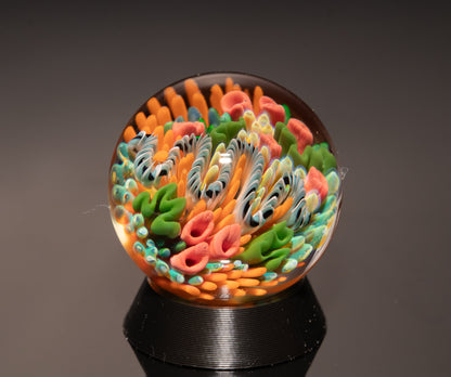 Ocean Floor Glass Marble Set | Four Piece Borosilicate Collection | Handblown Reef Art