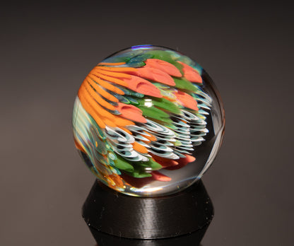 Ocean Floor Glass Marble Set | Four Piece Borosilicate Collection | Handblown Reef Art