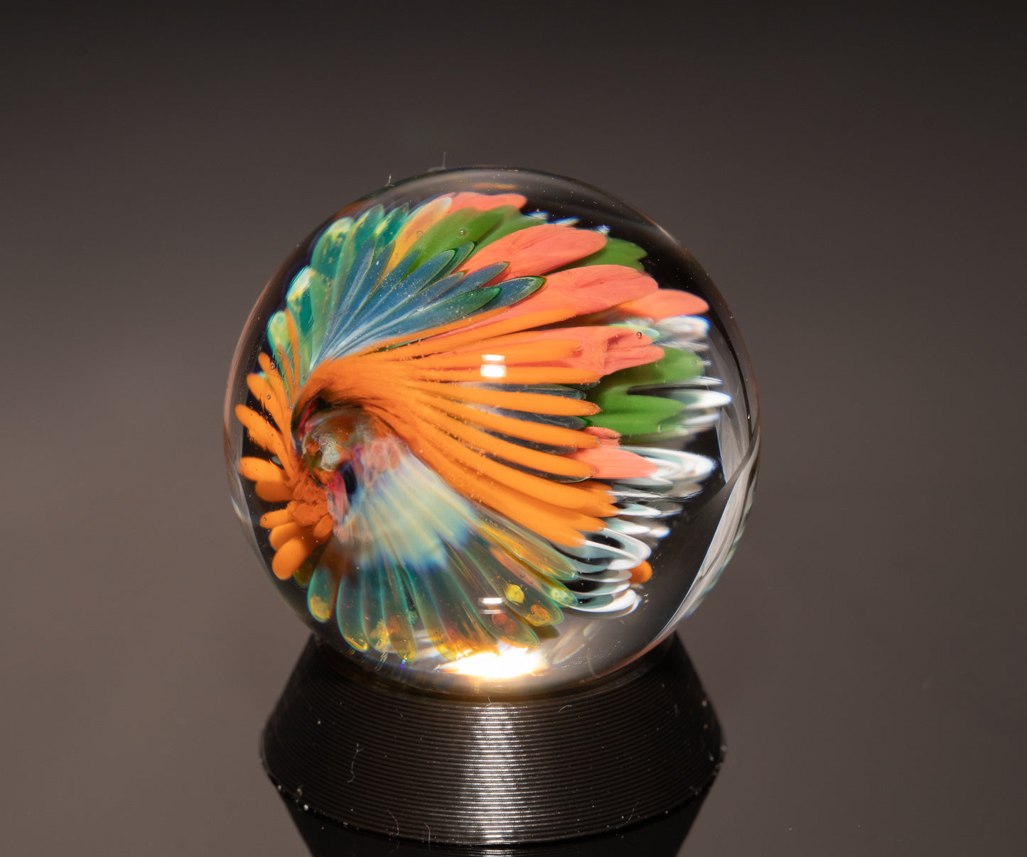 Ocean Floor Glass Marble Set | Four Piece Borosilicate Collection | Handblown Reef Art