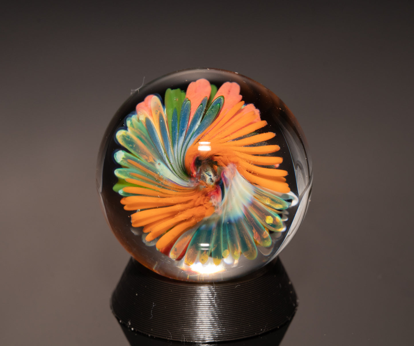 Ocean Floor Glass Marble Set | Four Piece Borosilicate Collection | Handblown Reef Art