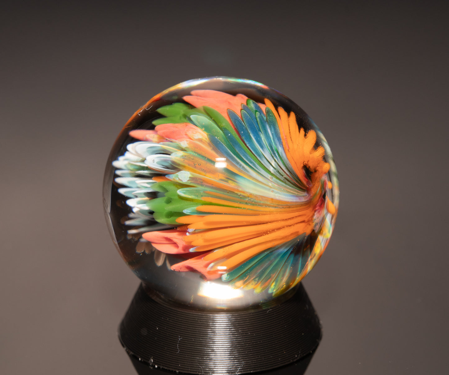 Ocean Floor Glass Marble Set | Four Piece Borosilicate Collection | Handblown Reef Art