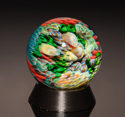 Coral Reef Glass Marble Collection | 4-Piece Borosilicate Set | Handblown Ocean Art