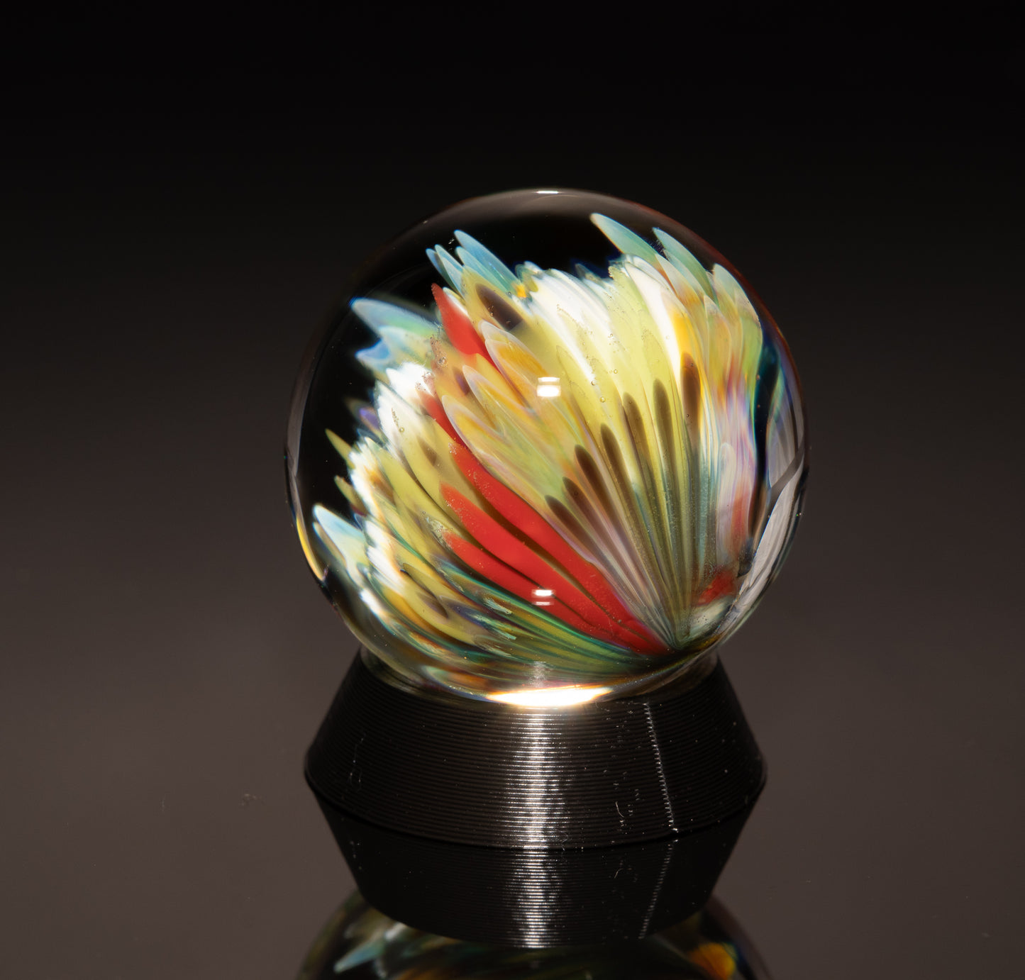 Coral Reef Marble Set | 4-Piece Handblown Glass Collection | Borosilicate Ocean Art