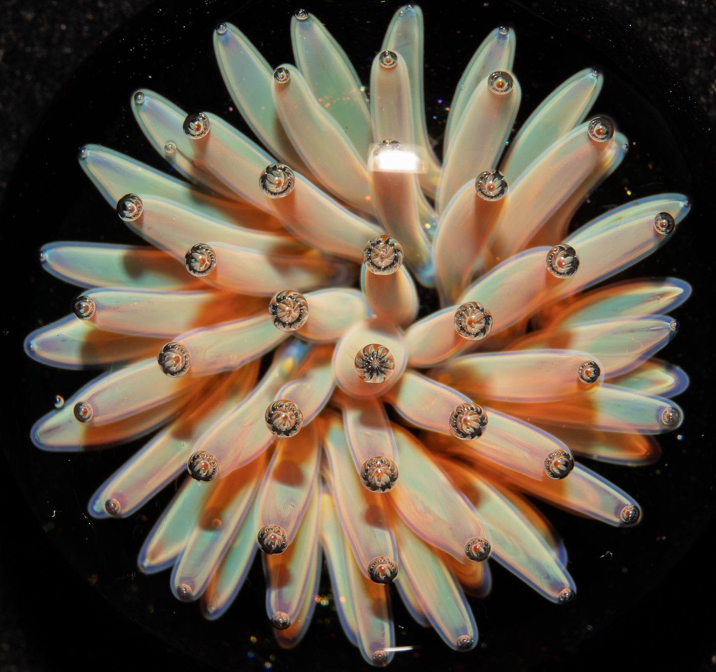 Cosmic Implosion Pendant | Starburst Glass Necklace | Artisan Borosilicate Jewelry | Sparkled Black Back
