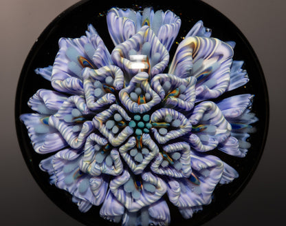 Chrysanthemum Peony Fusion | Handblown Flower Pendant | Artisan Glass Bloom