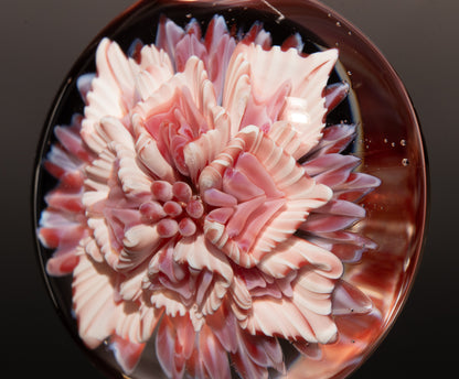 Fantasy Lotus Chrysanthemum | Implosion Glass Flower Pendant | Handcrafted Art