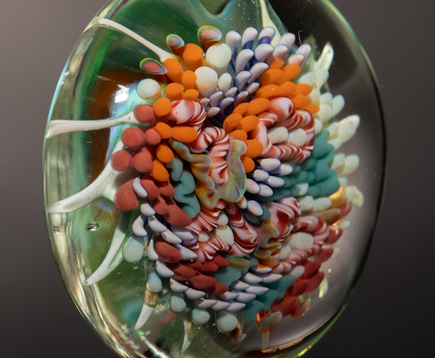 Handblown Coral Reef Glass Pendant | Ocean Jewelry Necklace | Beach Inspired Sea Life Art