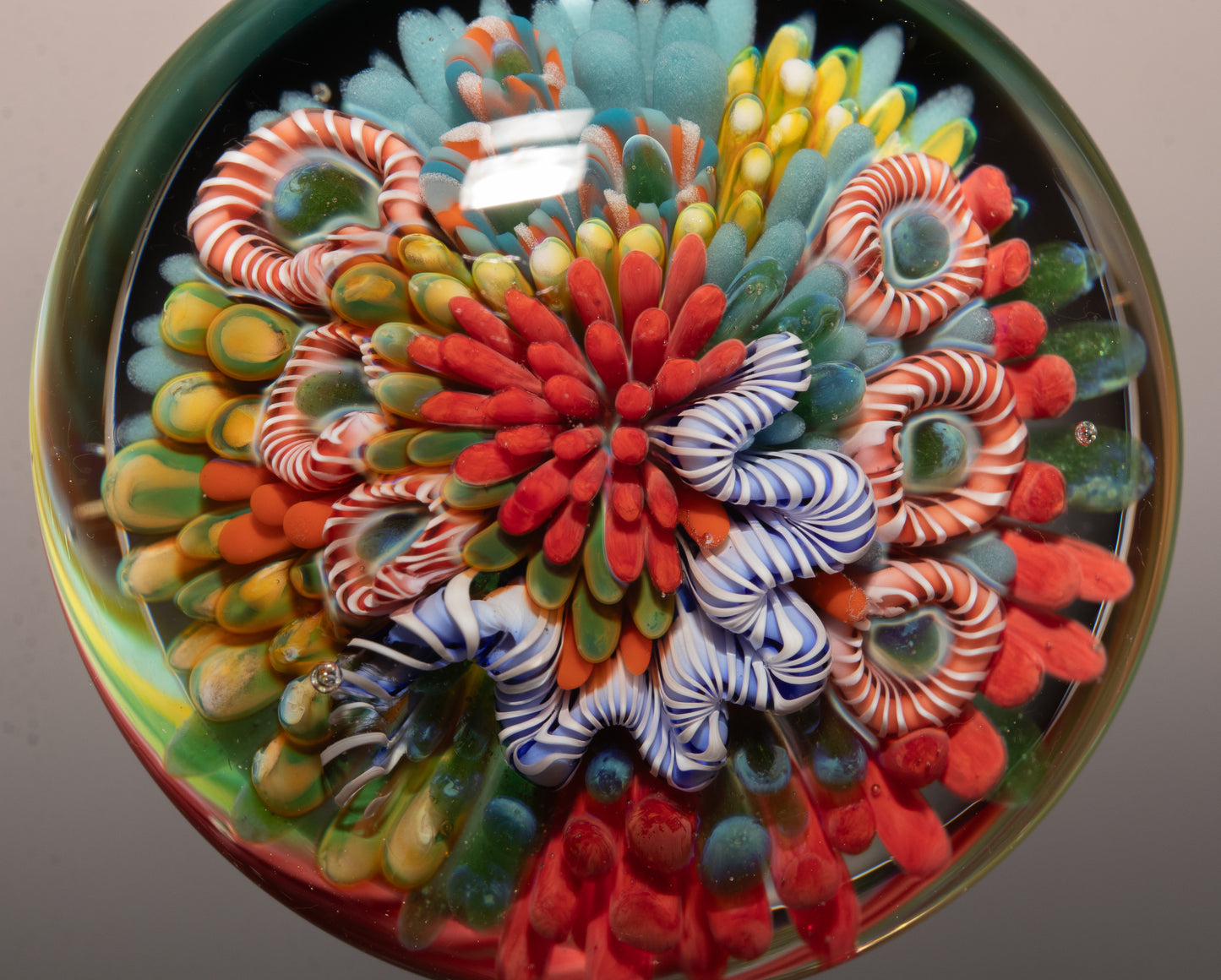 High End Coral Reef Glass Pendant | Ocean Art Necklace | Handmade Glass Jewelry