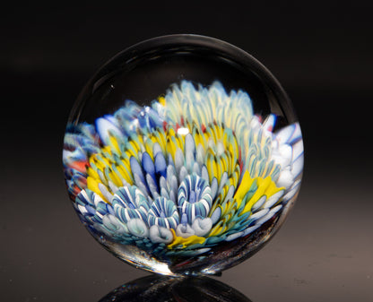 Coral Reef Glass Marble | Ocean Inspired Borosilicate Art | Handmade Collectible Display Marble | Beach Lover Gift