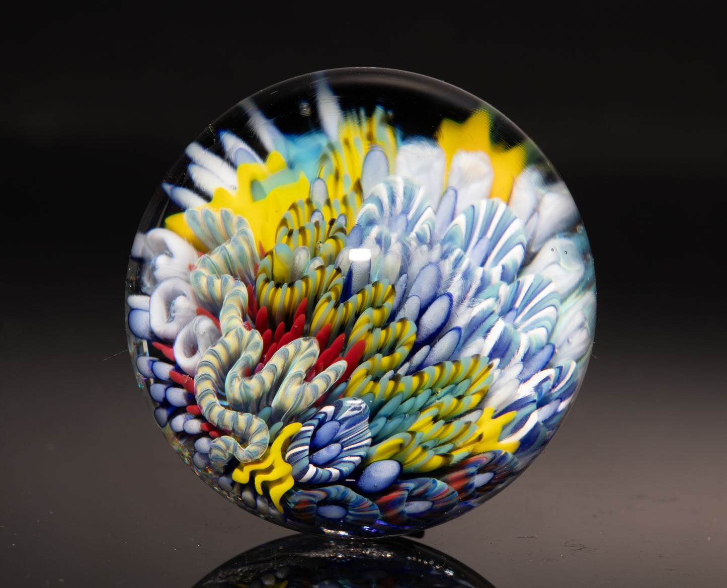Coral Reef Glass Marble | Ocean Inspired Borosilicate Art | Handmade Collectible Display Marble | Beach Lover Gift