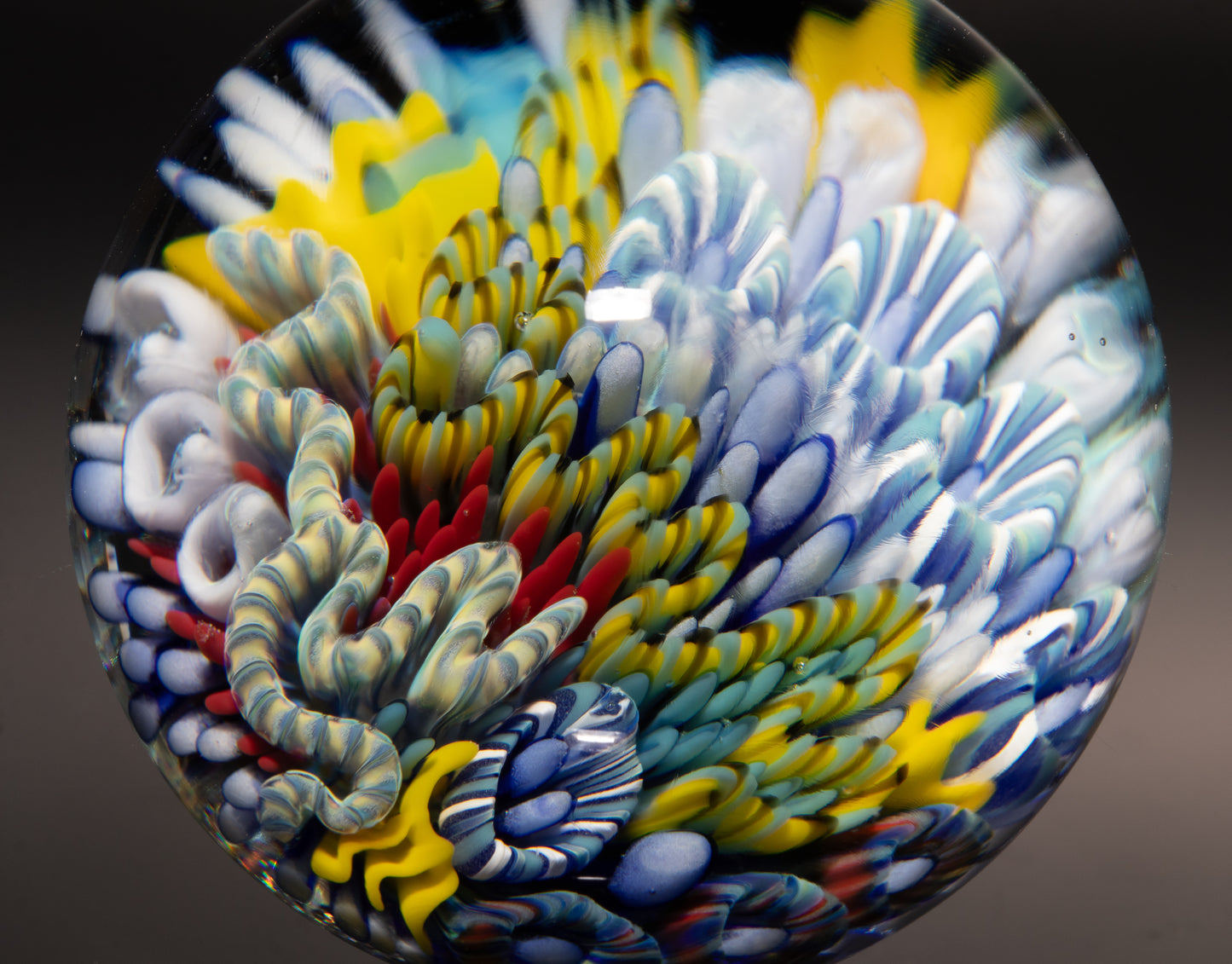 Coral Reef Glass Marble | Ocean Inspired Borosilicate Art | Handmade Collectible Display Marble | Beach Lover Gift