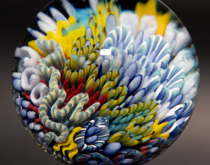 Coral Reef Glass Marble | Ocean Inspired Borosilicate Art | Handmade Collectible Display Marble | Beach Lover Gift