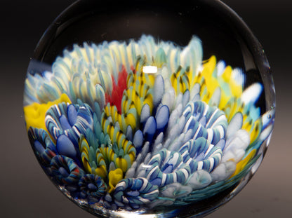 Coral Reef Glass Marble | Ocean Inspired Borosilicate Art | Handmade Collectible Display Marble | Beach Lover Gift