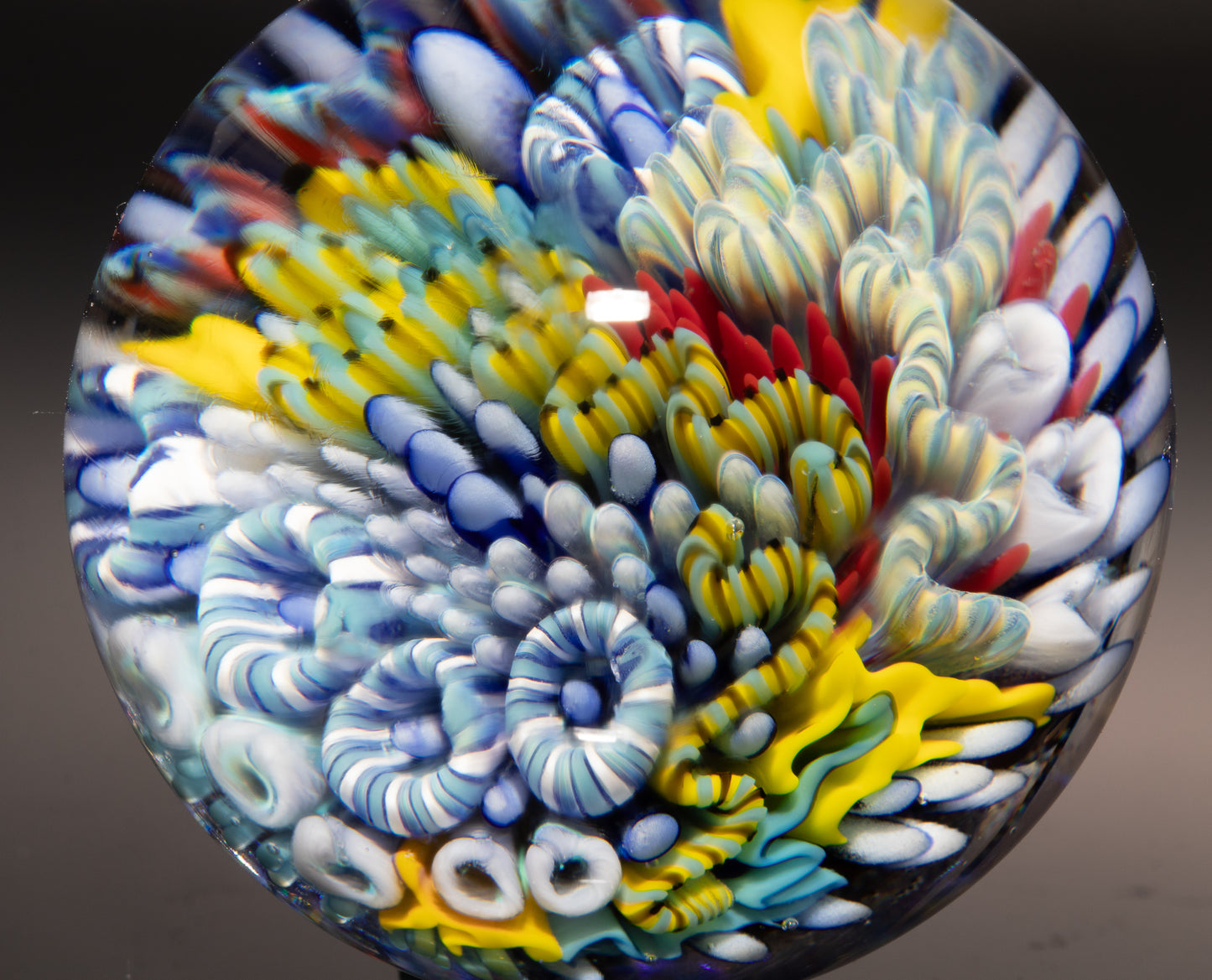 Coral Reef Glass Marble | Ocean Inspired Borosilicate Art | Handmade Collectible Display Marble | Beach Lover Gift