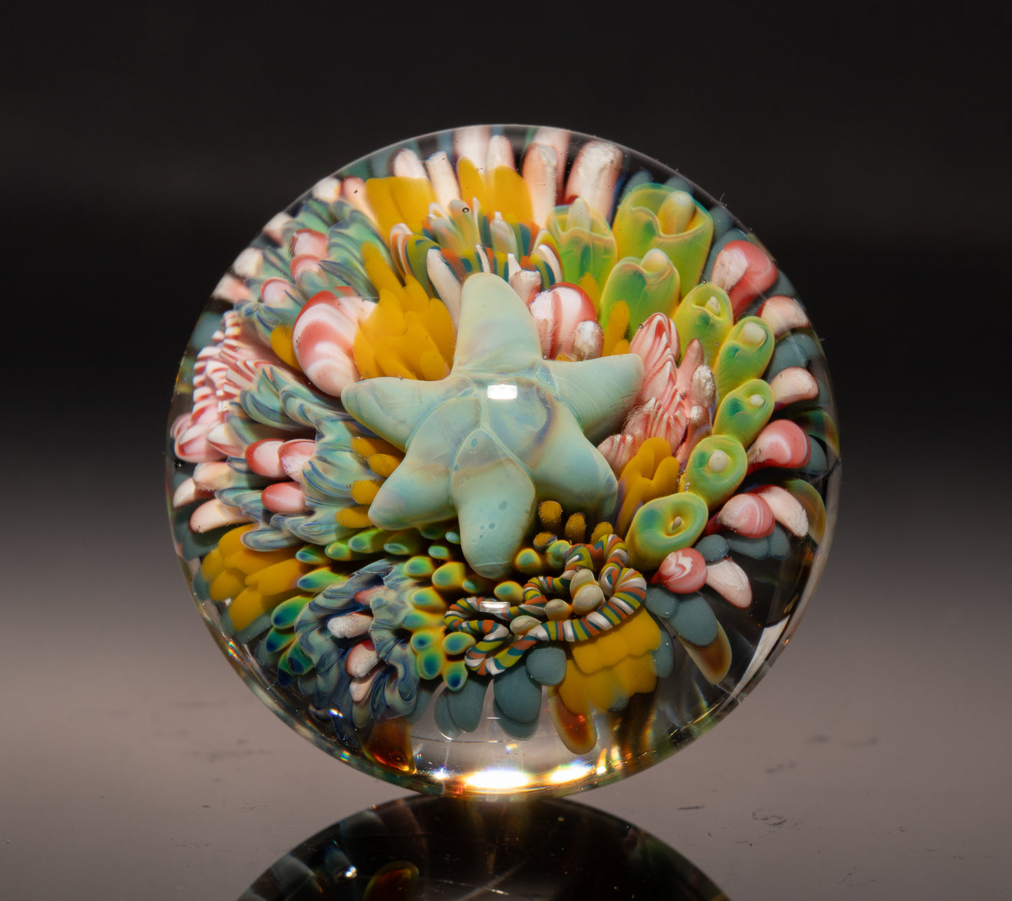 Marine Life Glass Marble | Coral Reef Borosilicate Art Sphere | Handmade Ocean Collectible | Scuba Diving Gift