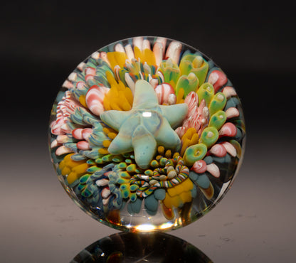 Marine Life Glass Marble | Coral Reef Borosilicate Art Sphere | Handmade Ocean Collectible | Scuba Diving Gift