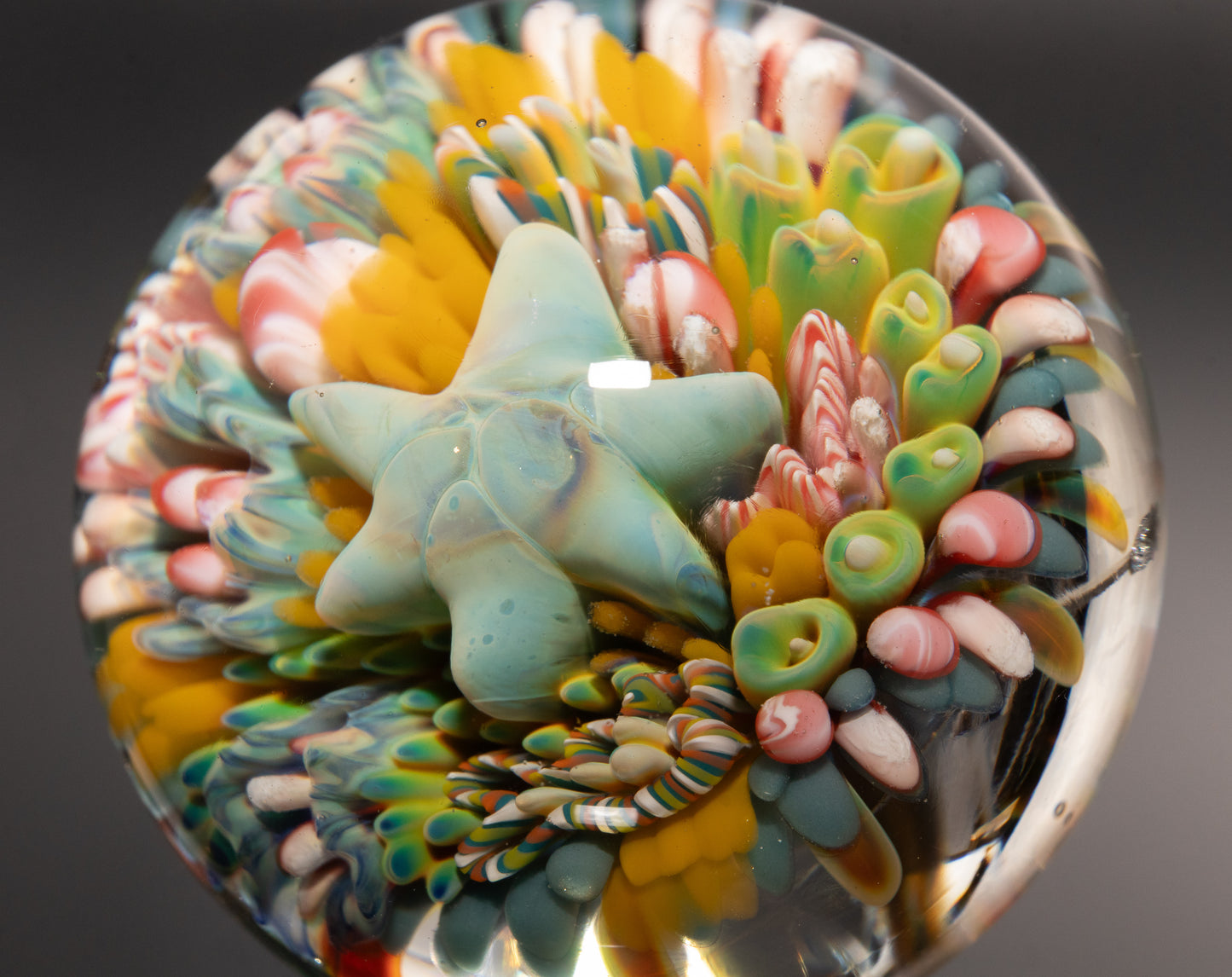 Marine Life Glass Marble | Coral Reef Borosilicate Art Sphere | Handmade Ocean Collectible | Scuba Diving Gift
