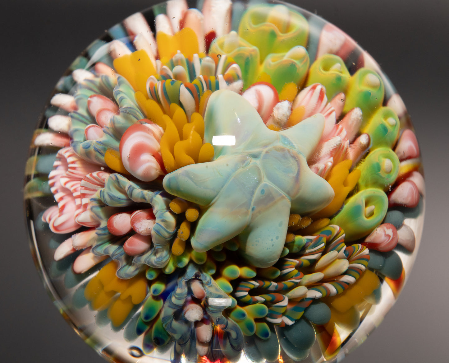 Marine Life Glass Marble | Coral Reef Borosilicate Art Sphere | Handmade Ocean Collectible | Scuba Diving Gift