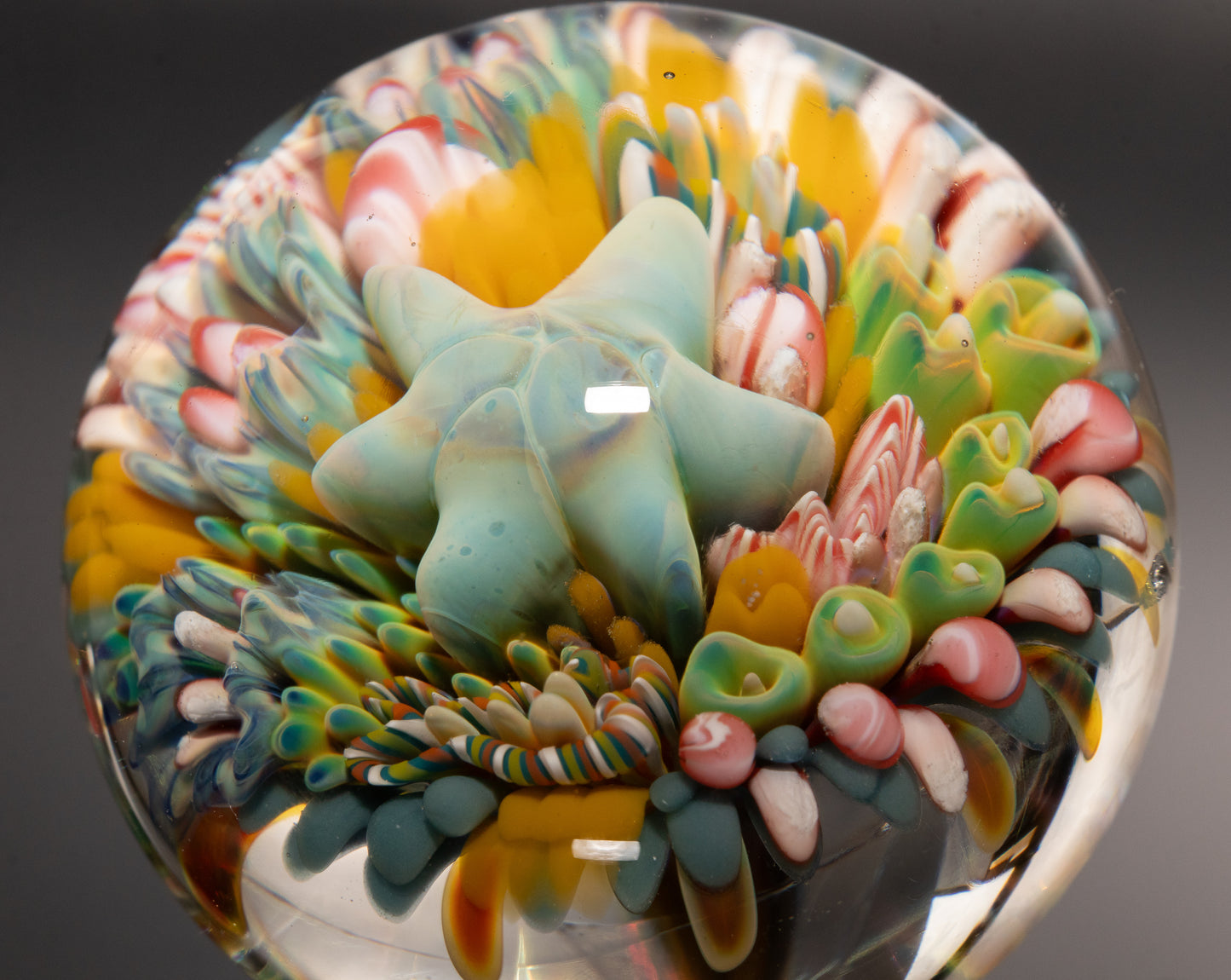 Marine Life Glass Marble | Coral Reef Borosilicate Art Sphere | Handmade Ocean Collectible | Scuba Diving Gift