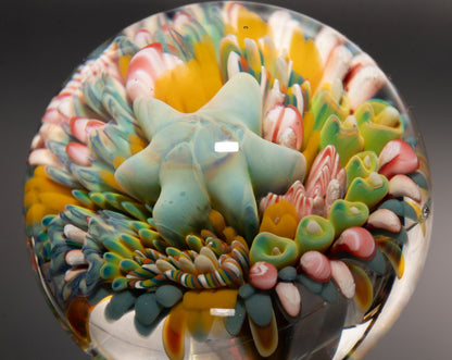 Marine Life Glass Marble | Coral Reef Borosilicate Art Sphere | Handmade Ocean Collectible | Scuba Diving Gift