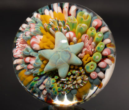 Marine Life Glass Marble | Coral Reef Borosilicate Art Sphere | Handmade Ocean Collectible | Scuba Diving Gift