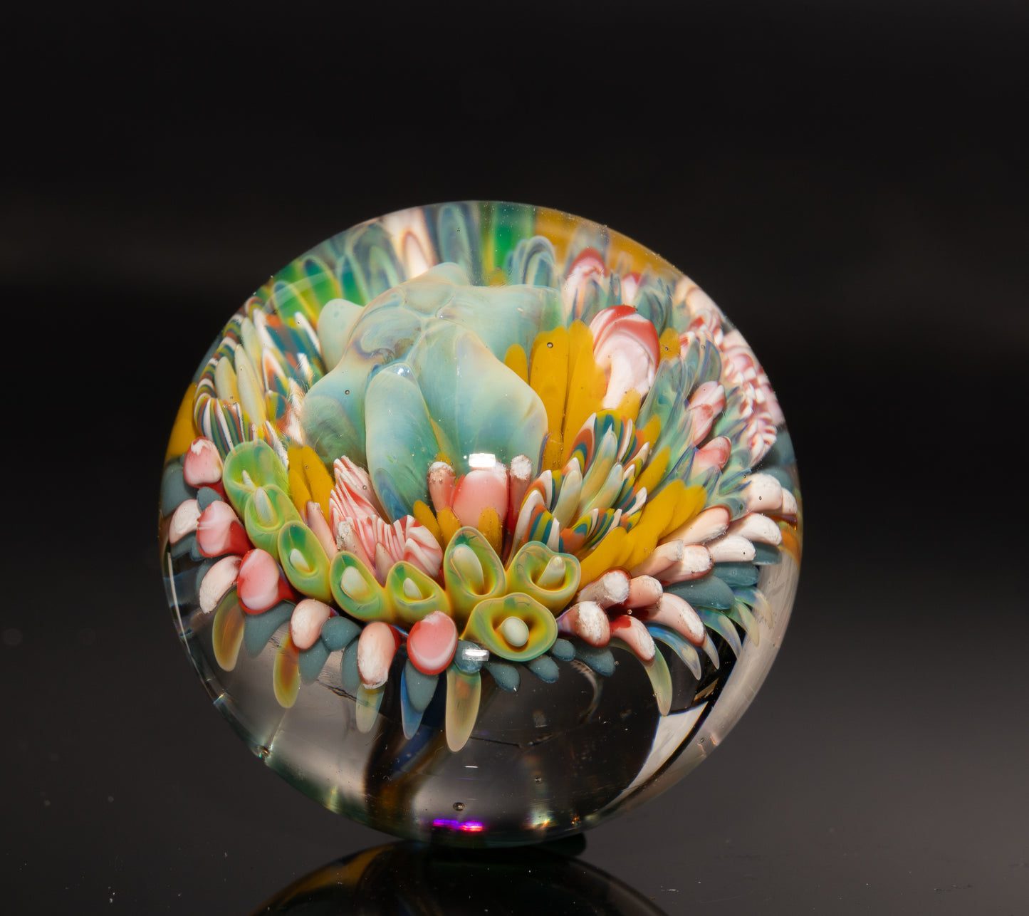 Marine Life Glass Marble | Coral Reef Borosilicate Art Sphere | Handmade Ocean Collectible | Scuba Diving Gift