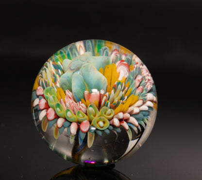 Marine Life Glass Marble | Coral Reef Borosilicate Art Sphere | Handmade Ocean Collectible | Scuba Diving Gift